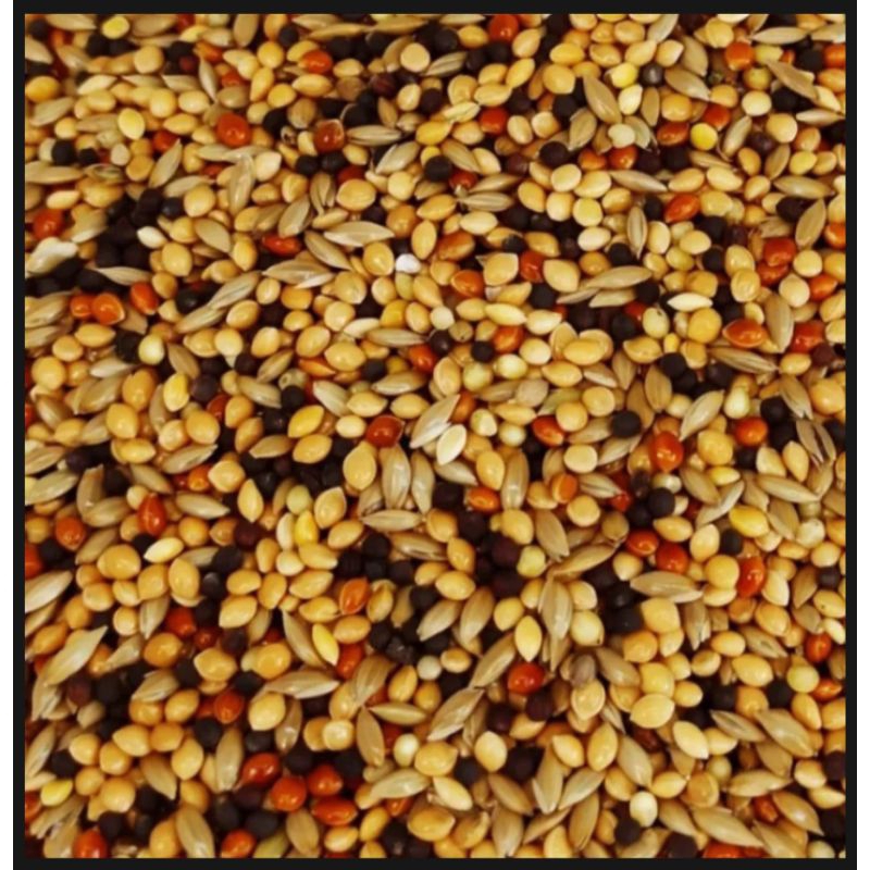 Milet Pakan Perkutut kwalitas Super (REPACK 1kg)