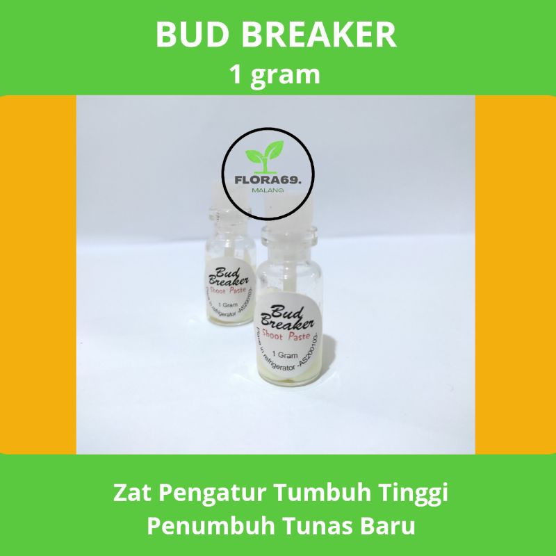 Bud Breaker penumbuh tunas 1gr perangsang tanaman anggrek tunas batang
