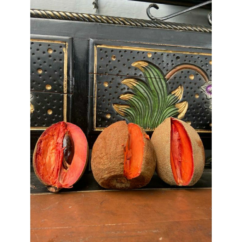 buah mamey sapote