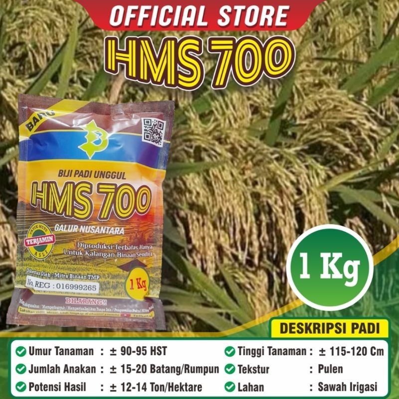 Padi Unggul HMS 700 HMS700 / Biji Padi HMS 700 / Biji HMS 700 / Kemasan 1 Kilogram / Bisa COD / Sawa