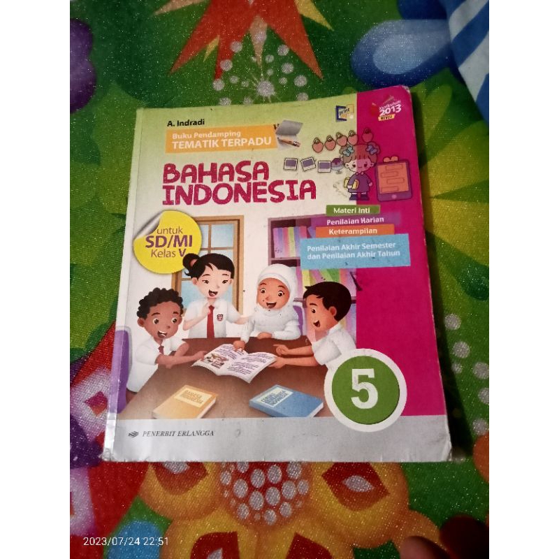 BUKU ORI PENDAMPING TEMATIK TERPADU BAHASA INDONESIA KELAS 5 SD PENERBIT ERLANGGA EDISI REVISI