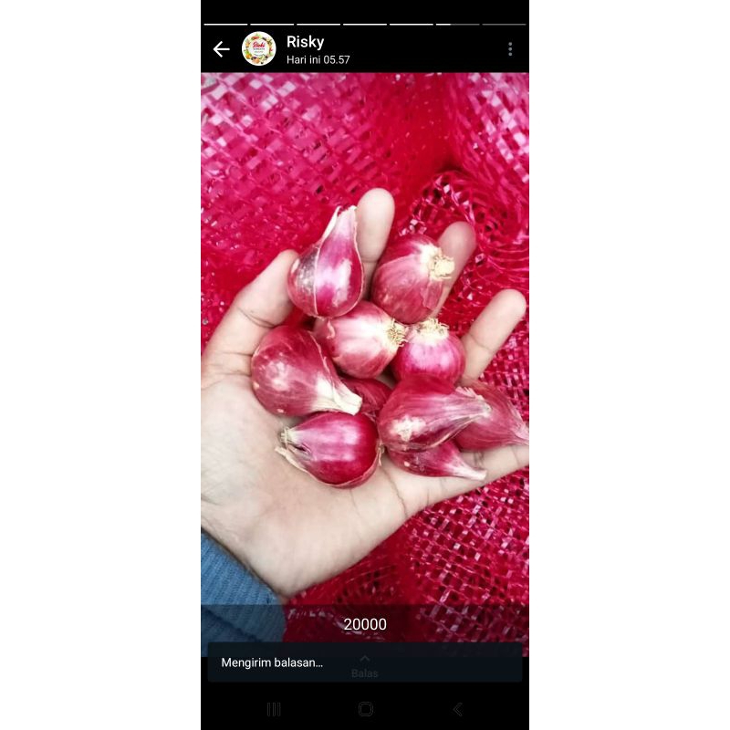 

BAWANG MERAH SUPER