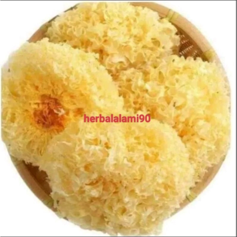 

jamur salju/ snow white fungus/jamur putih 100gr