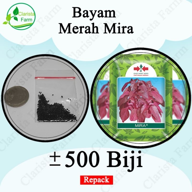 Benih Bibit Bayam Merah Mira Repack Cap Panah Merah