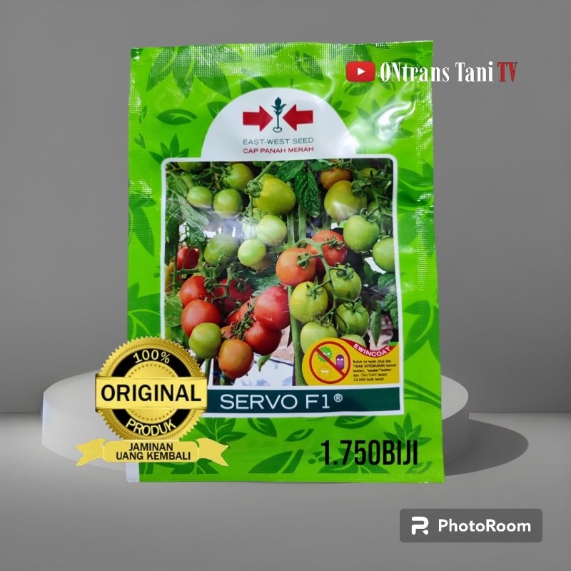 benih tomat SERVO F1 original 1.750biji