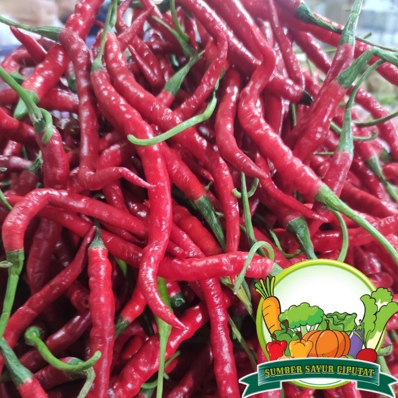 

Cabe cabai merah keriting 250 gram - KIRIM INSTAN