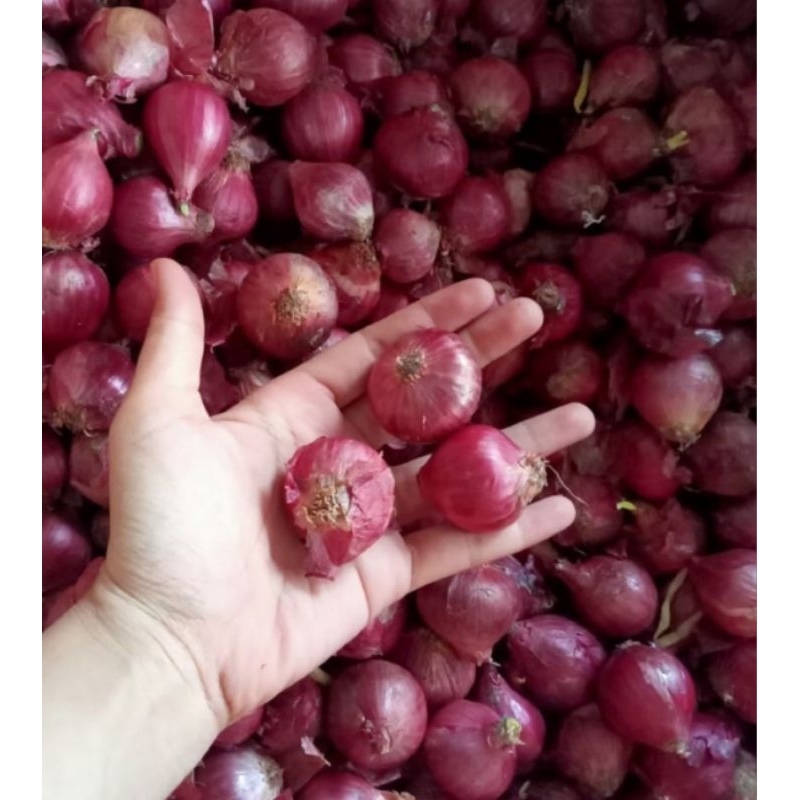 

Bawang Merah Fresh 1kg