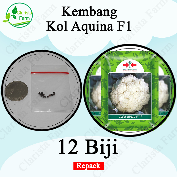 Benih Bibit Kembang Kol Aquina F1 Repack Cap Panah Merah