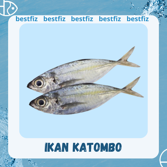 

Ikan Katombo