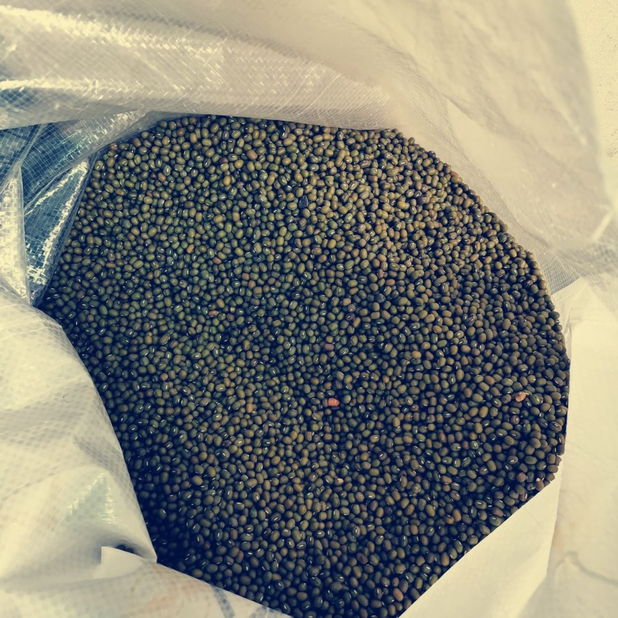 

Kacang Hijau / Ijo Yulek Australia Super 1 kg / 1000 gr