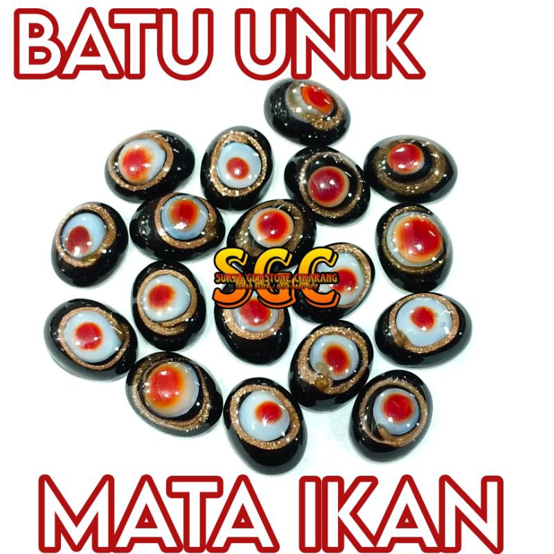 BATU UNIK MOTIF MATA IKAN