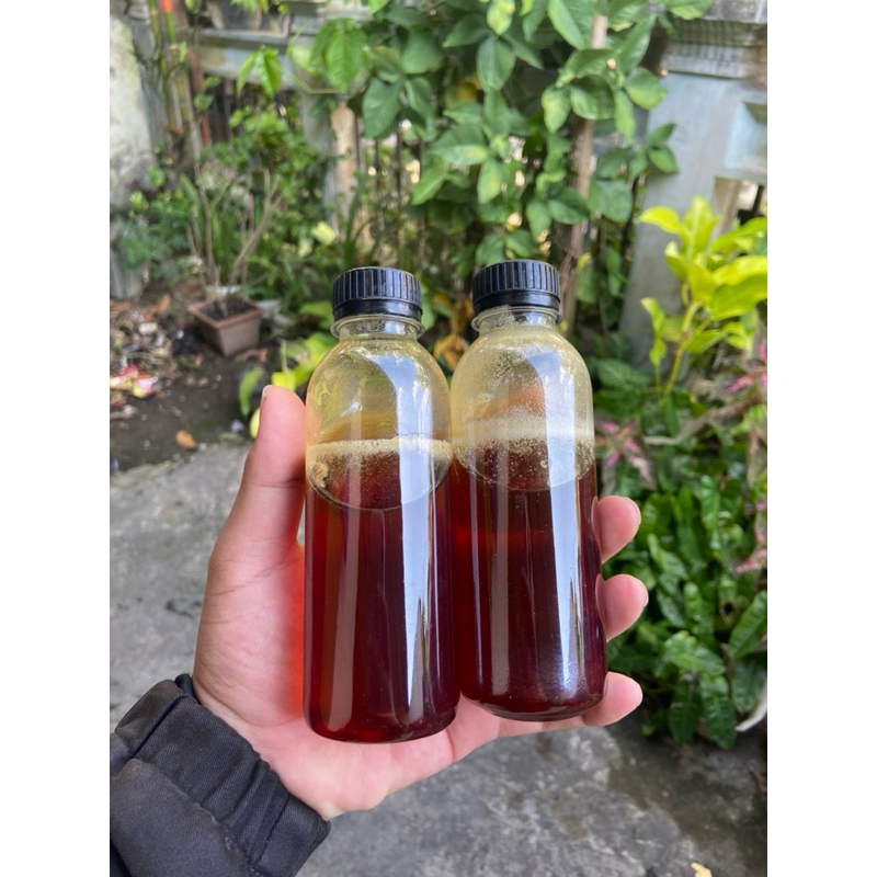 

MADU MURNI ASLI PALEMBANG