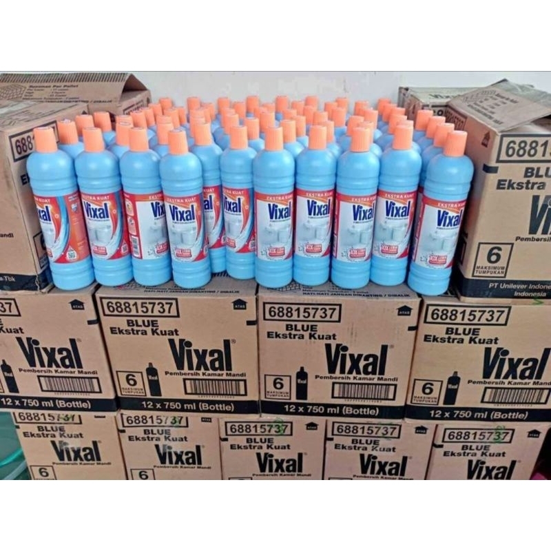 Vixal pembersih kamar mandi