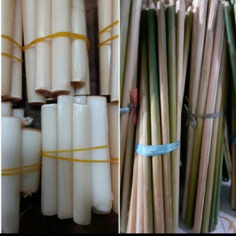 

Batang Rias/Kencong/Kecomberang 500 gr