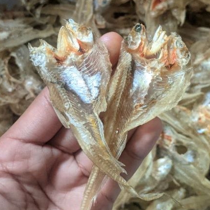 

100GR BULUAYAM/BULAYAM IKAN ASIN KERUPUK