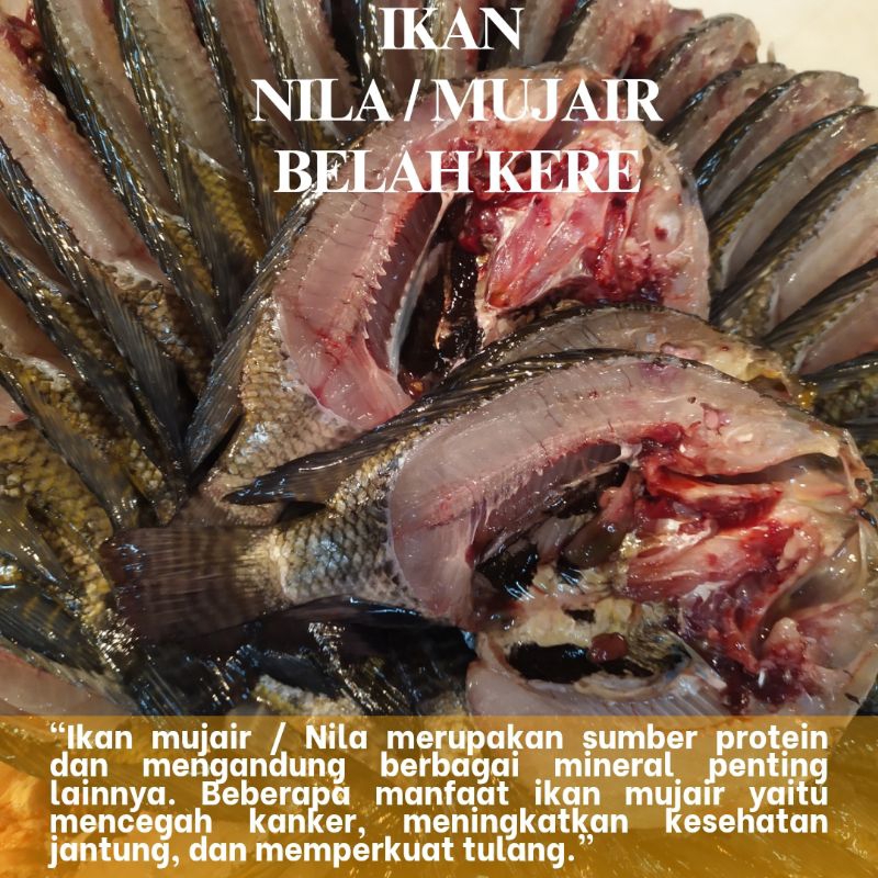 

Ikan Nila / Ikan Mujair / Belah Kere / Belah Punggung / Ikan Segar 1kg