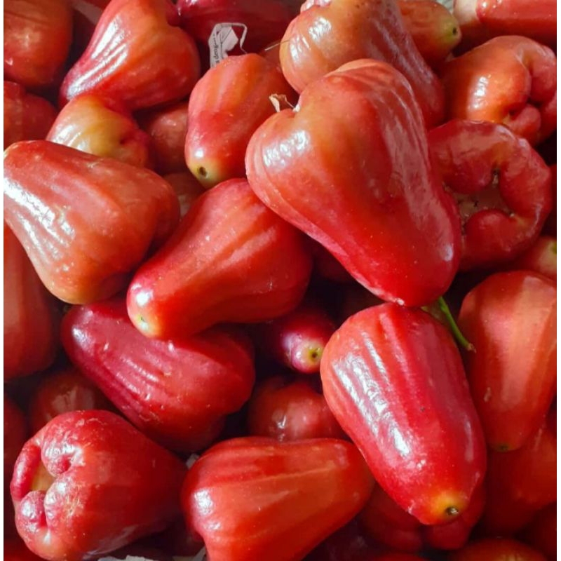 

Buah jambu citra