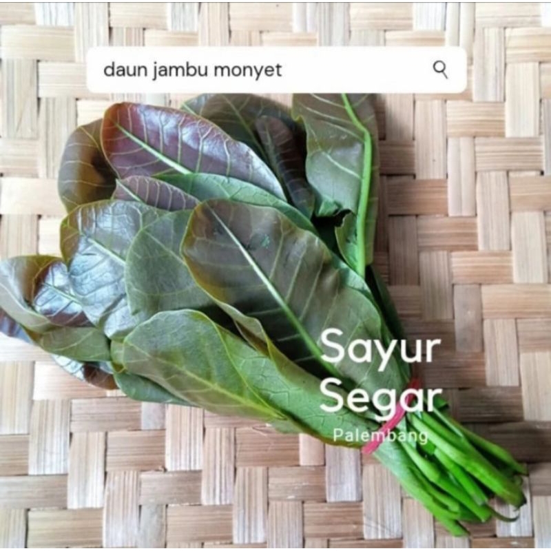 

Daun Jambu Monyet per ikat Sayur Segar Palembang