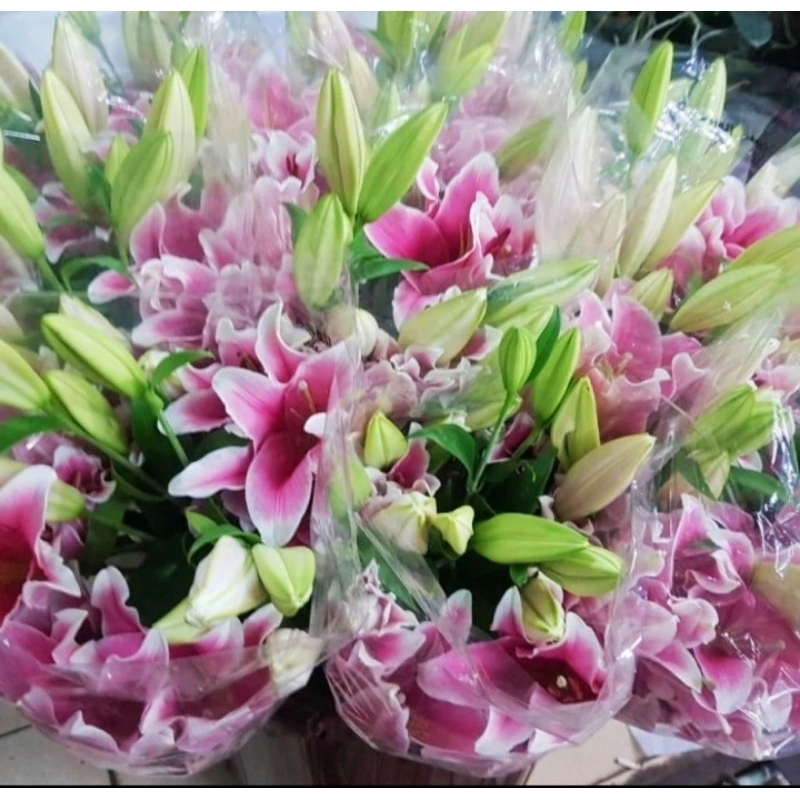 Bunga Lily || Casablanca || Bunga Segar || Bunga tangkai