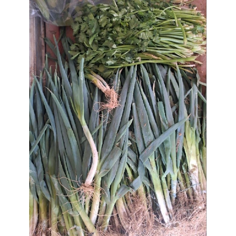

Daun Bawang Jumbo Super 250g
