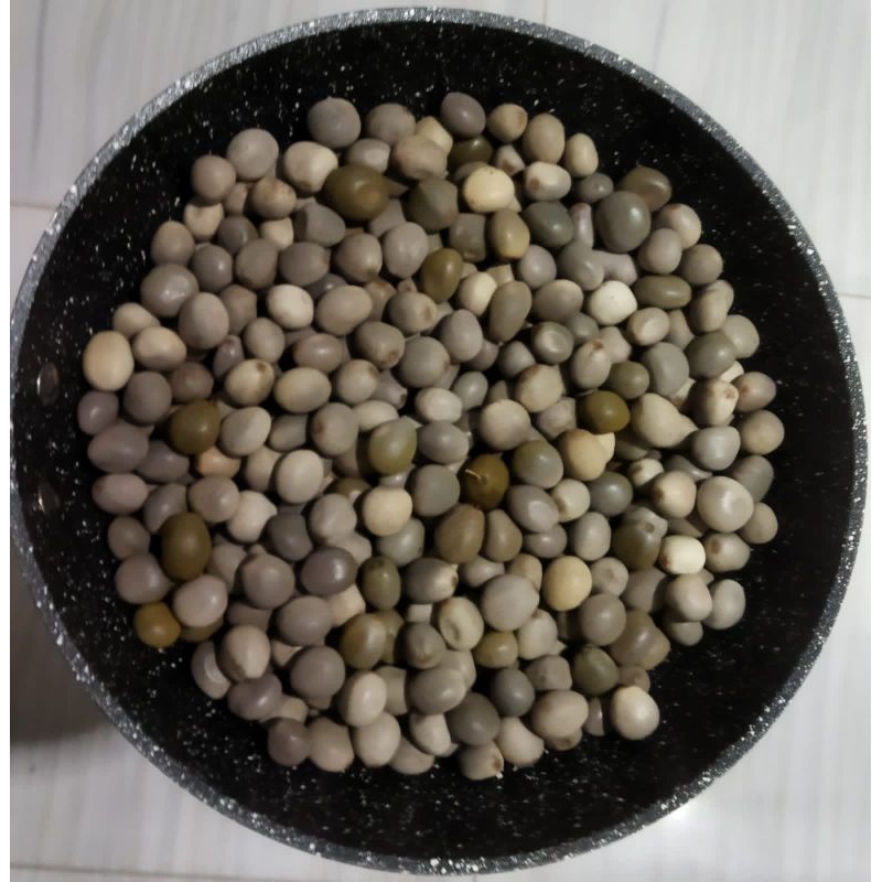 

buah kebiul atau biji gorek asli 250g