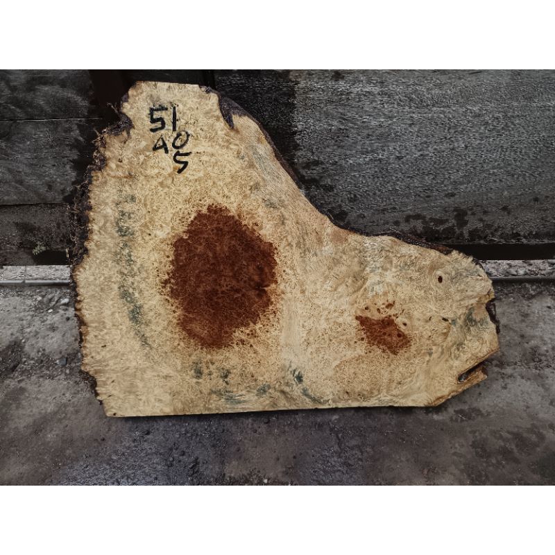 Amboyna Burl 27231