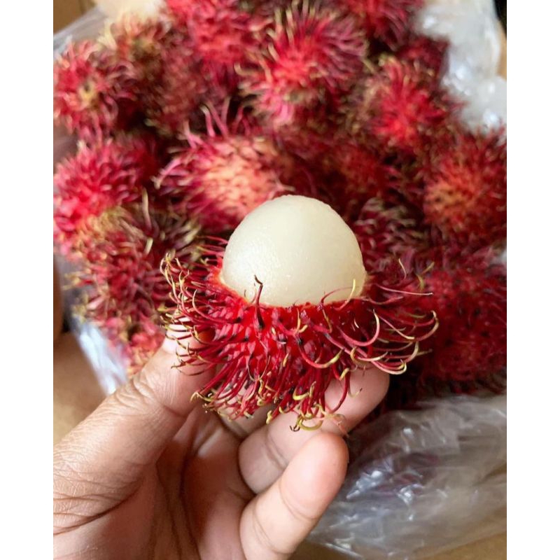 Buah Rambutan Binjai 1 ikat (Pengiriman Medan)