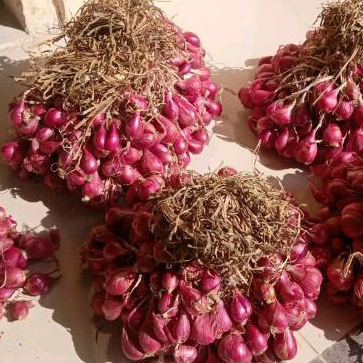 

Bawang merah brebes (askip)