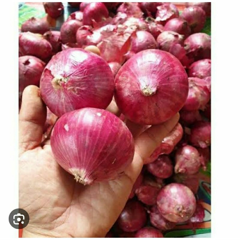 

BAWANG MERAH 500gr