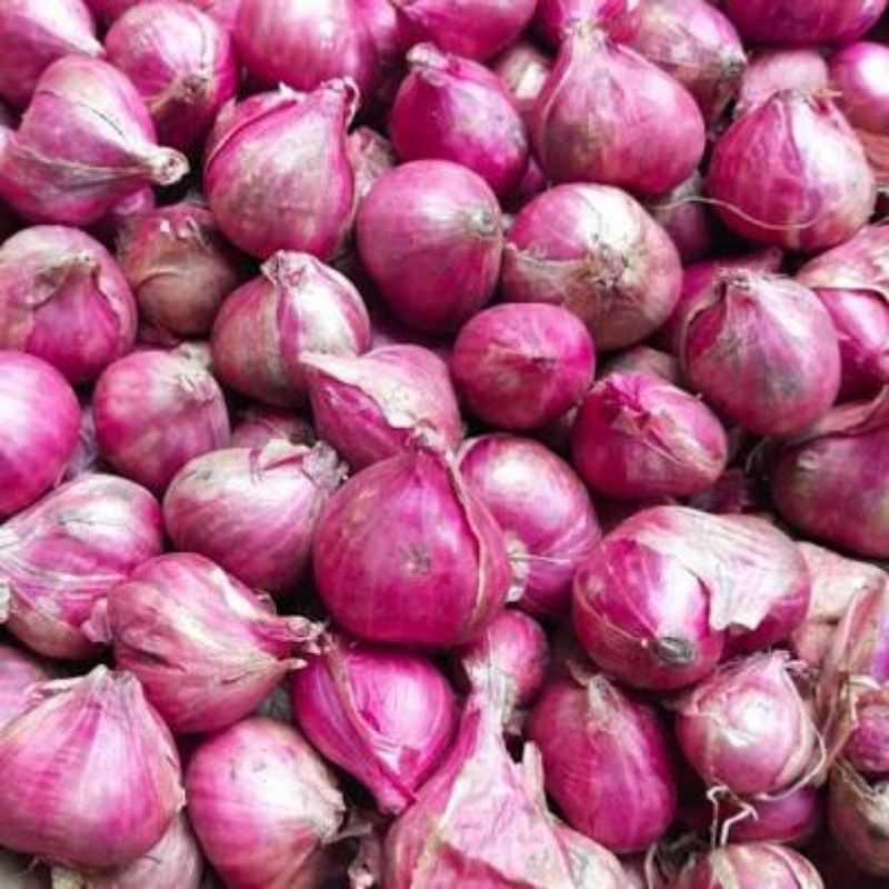 

Bawang Merah / Bawang Putih lokal Bersih 250gr