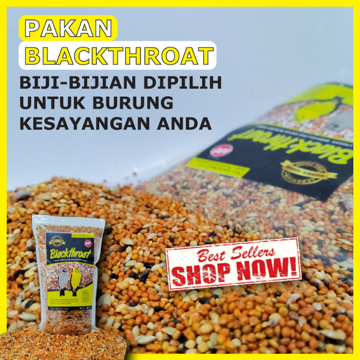 Pakan Burung Blackthroat Sanger Mozambik dan Burung Finch Pakan Burung Harian dan Breeding atau Tern