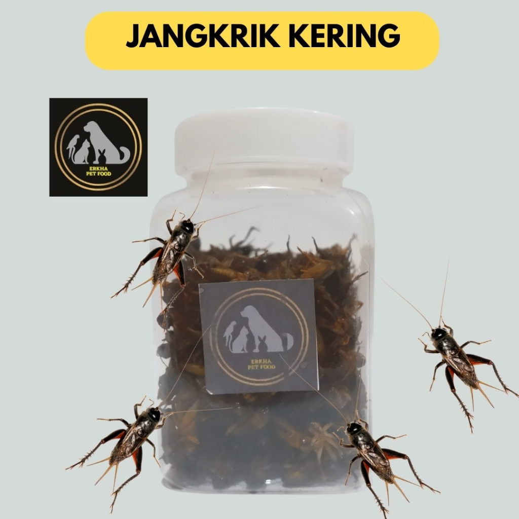 Jangkrik Kering Pakan Burung Gecko Hamster Channa Arwana