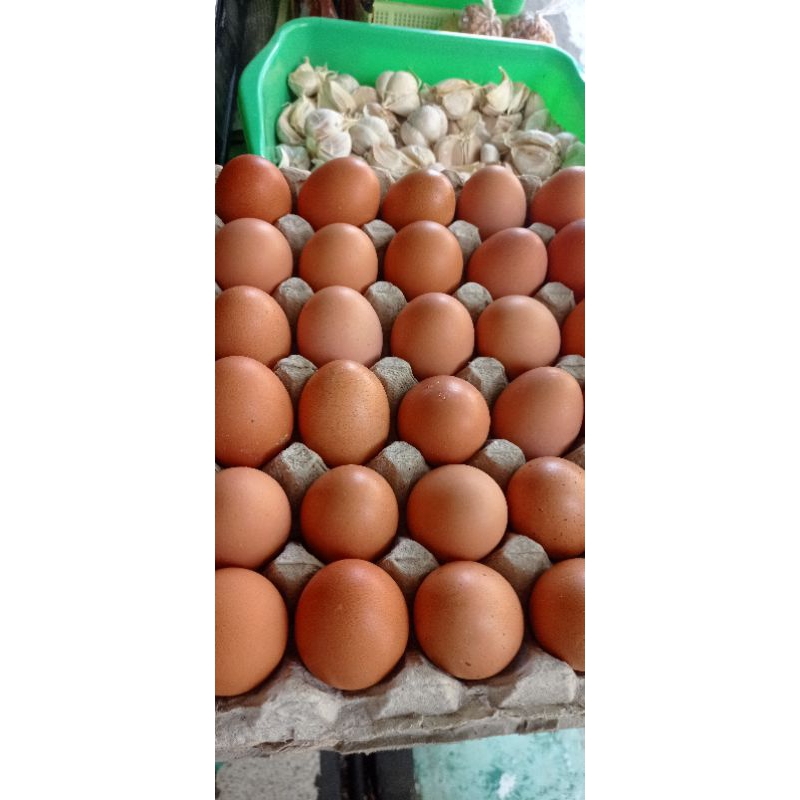 

Telur ayam negeri kemasan 1kg 500gr 250gr, telur ayam negeri fresh warna cokelat