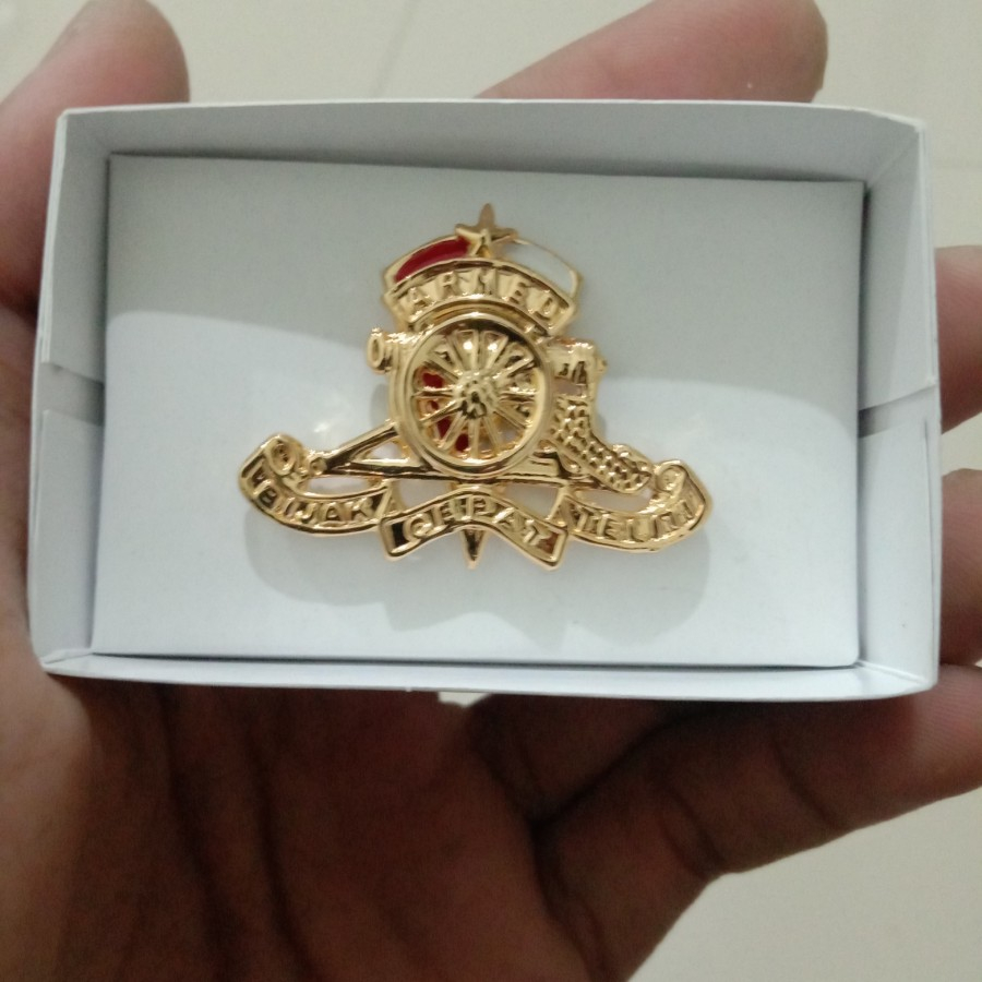 brevet wing pin armed