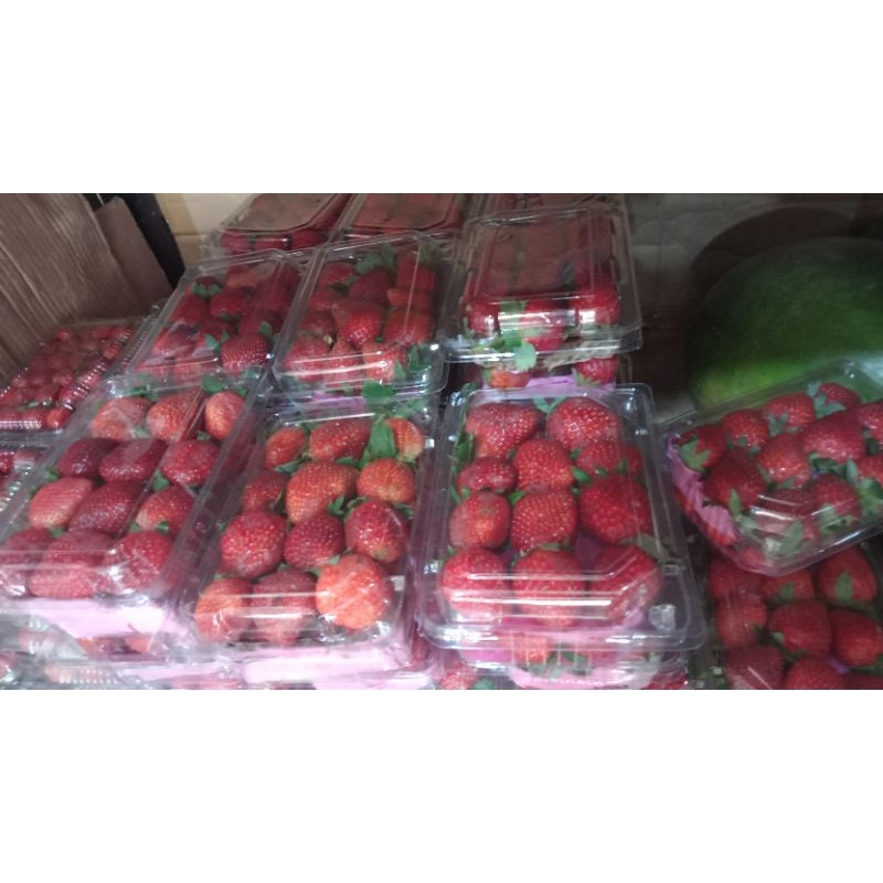 

Strawberry besar 2 susun perpack