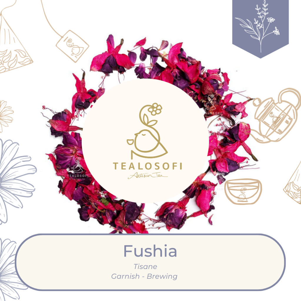 

Fushia - Dried Edible Flower - Teh Bunga Tisane Tea Herbal Hiasan Kue