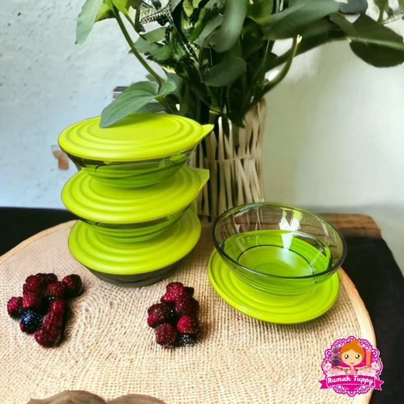 Promo Wadah Tempat Mangkuk Mangkok Makanan Kue Sayur Eleganzia Bowl Tupperware Tuppy Murah