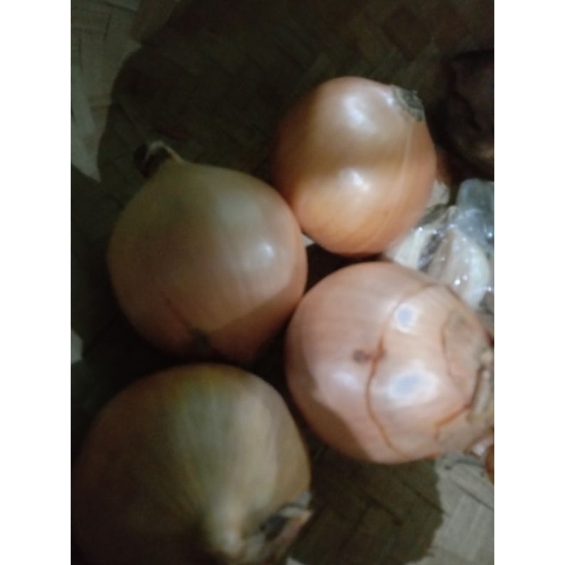 

Bawang Bombay 1 pcs