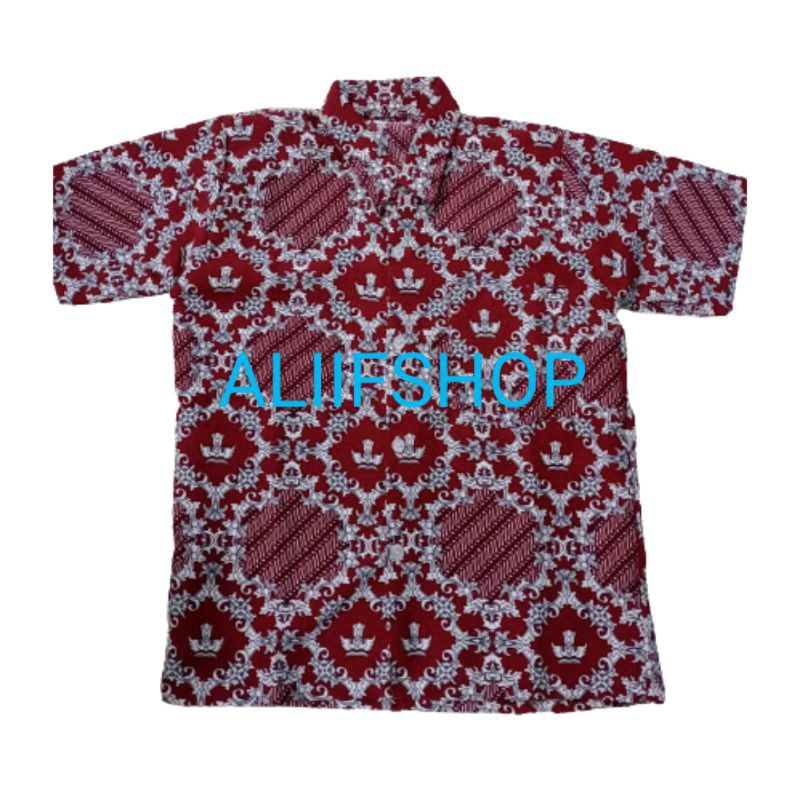 Seragam Sekolah BATIK SD