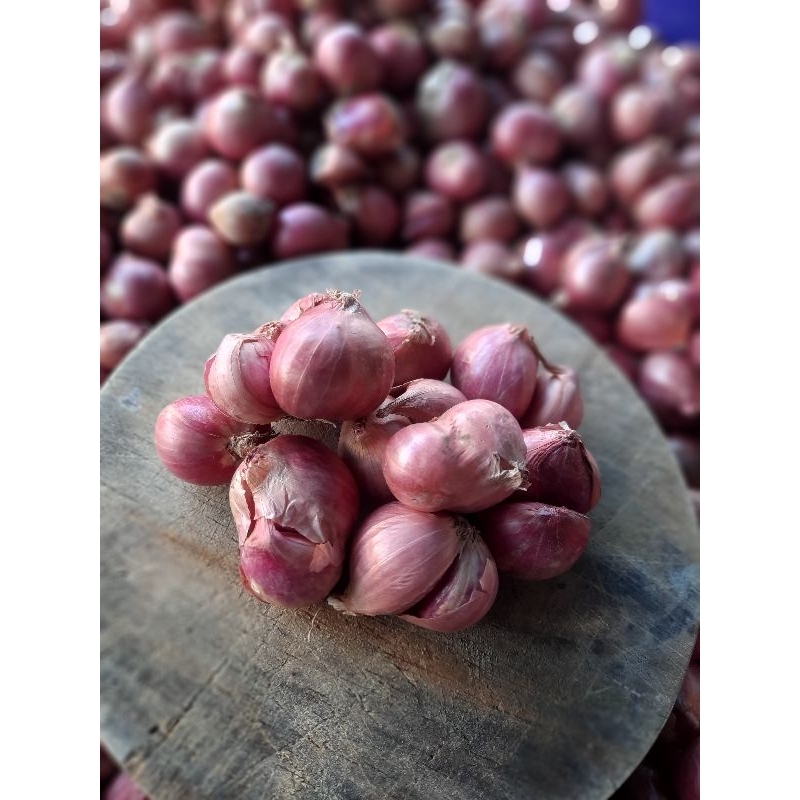 

Bawang merah bima,enrekang
