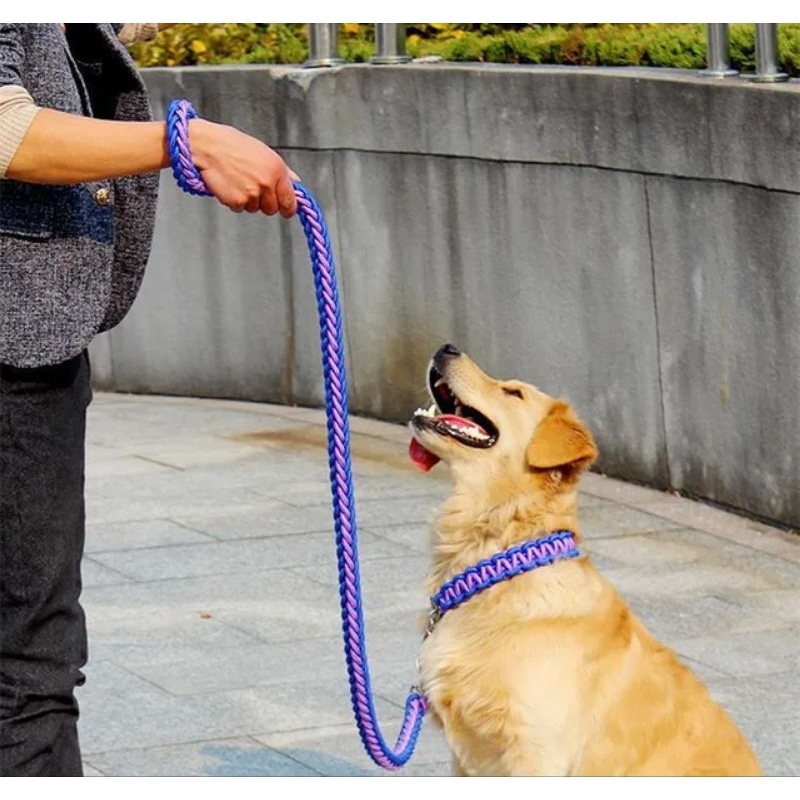 Rantai Anjing Penuntun / Tali Anjing Bahan Nilon Kuat