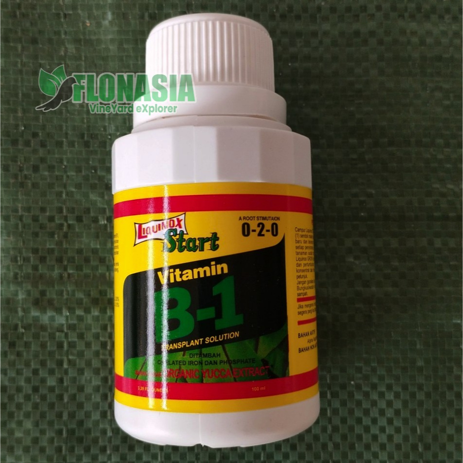 Original Vitamin B1 Asli Tanaman 100 ml Liquinox Start ZPT Pupuk Anti Stres dan Perangsang Akar