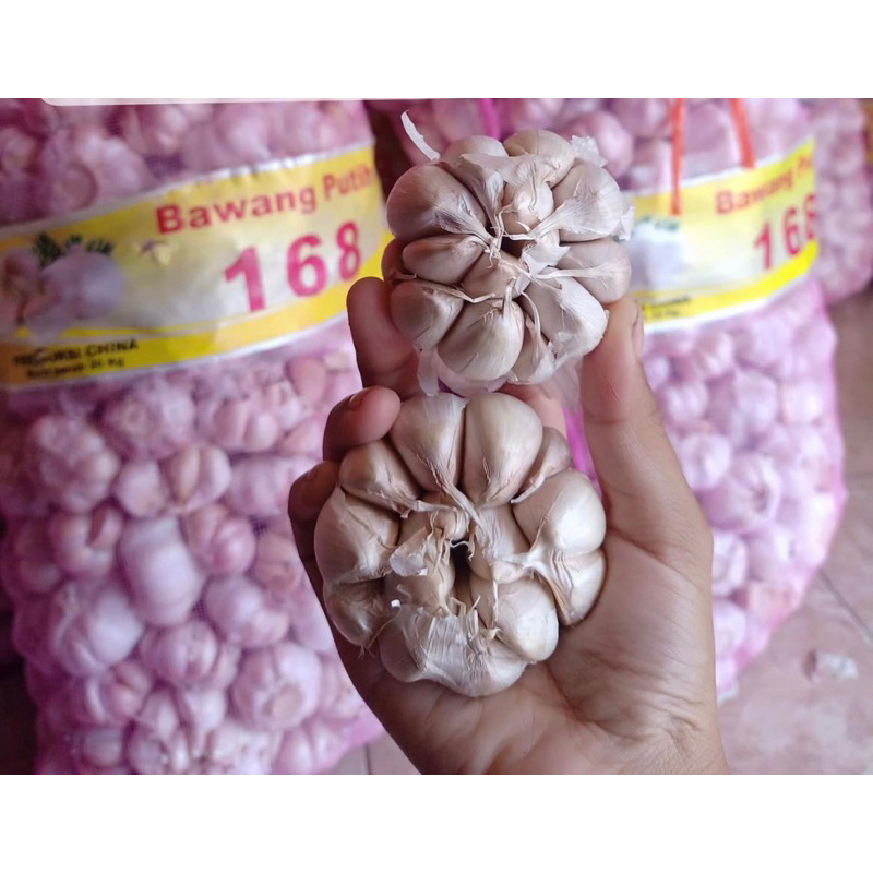 

BAWANG PUTIH HONAN-SINCO UKURAN 250g, 500g & 1Kg (SUDAH DIBERSIHKAN KULIT ARINYA)