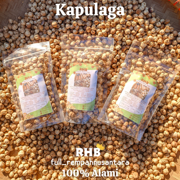 

Kapulaga Kering Bersih 100% Alami Kualitas Terbaik 100gr