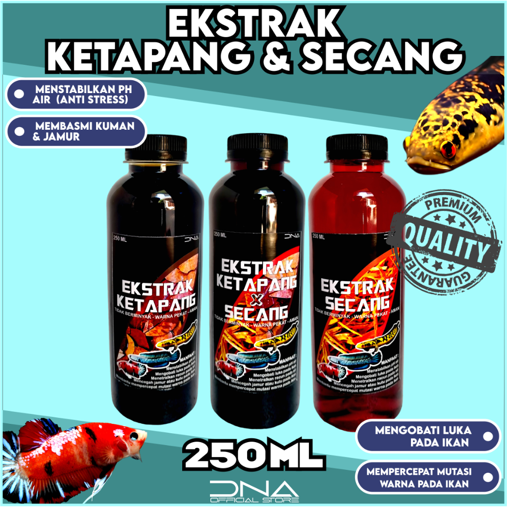 Ekstrak DAUN KETAPANG x KAYU SECANG Pekat 250 ML Tidak Berminyak untuk segala jenis ikan Channa Arwa