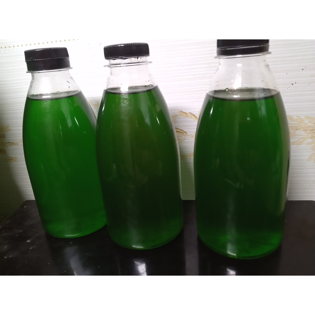 

TERIMA MAKLON Sirup Teh Manis