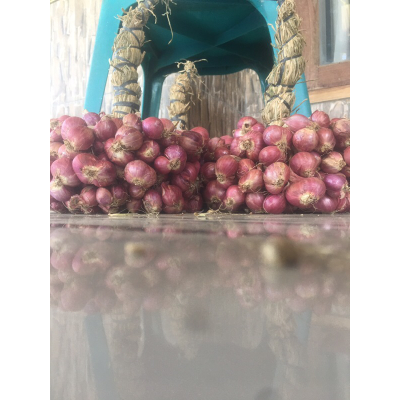 

bawangmerah