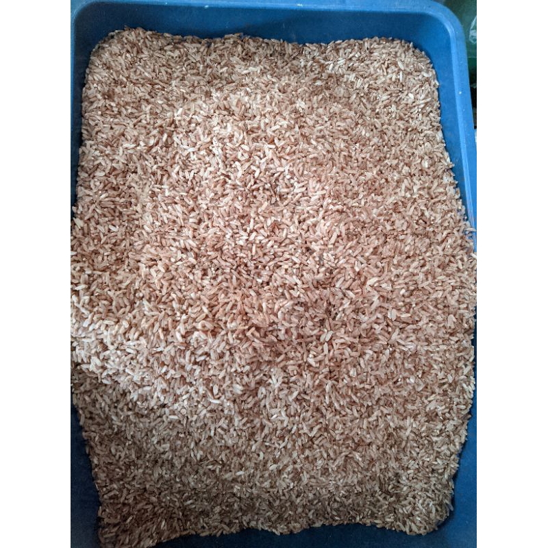 

1KG BERAS MERAH SERANG//BERAS MERAH BERKUALITAS