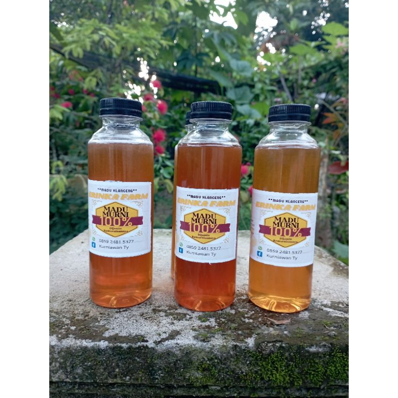 

madu klanceng murni