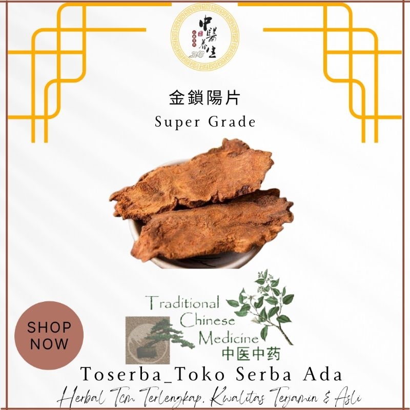 

50gr herbal jin suo yang 金鎖阳 songaria cynomorium herb herba cynomorii cynomorium songaricum rupr super grade